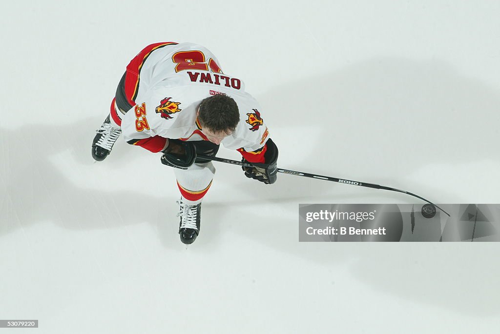 Krzysztof Oliwa Hockey Career